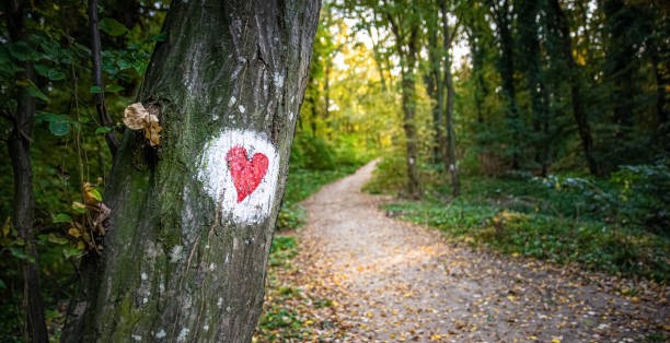 2. QUE POUVONS-NOUS FAIRE ?